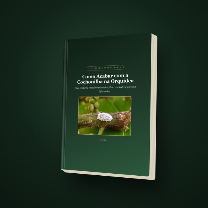 Como Acabar com a Cochonilha na Orquídea — Guia prático e completo