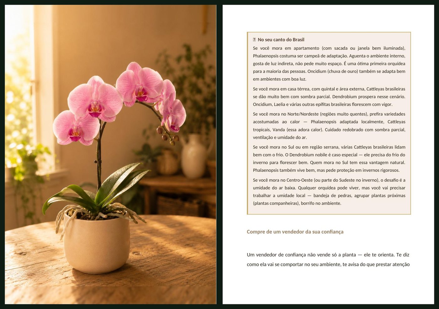 Paginas do livro Como Cuidar de Orquideas